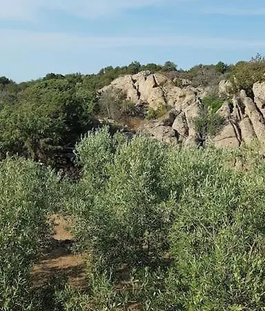 Sa Prenda * Olbia